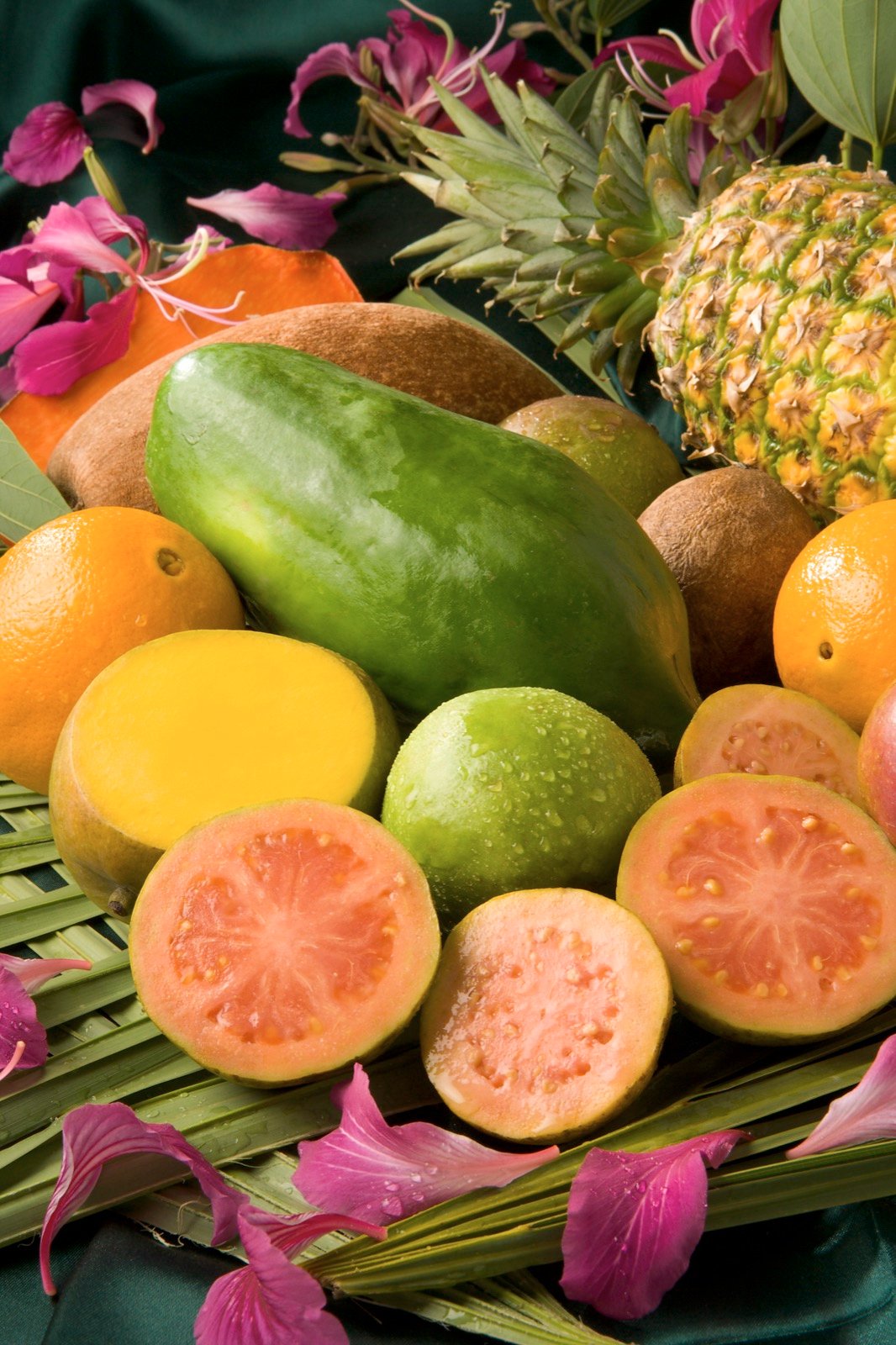 Tropical Fruits Coloring