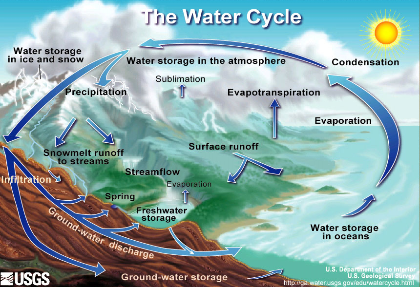 The Water Cycle in Nature