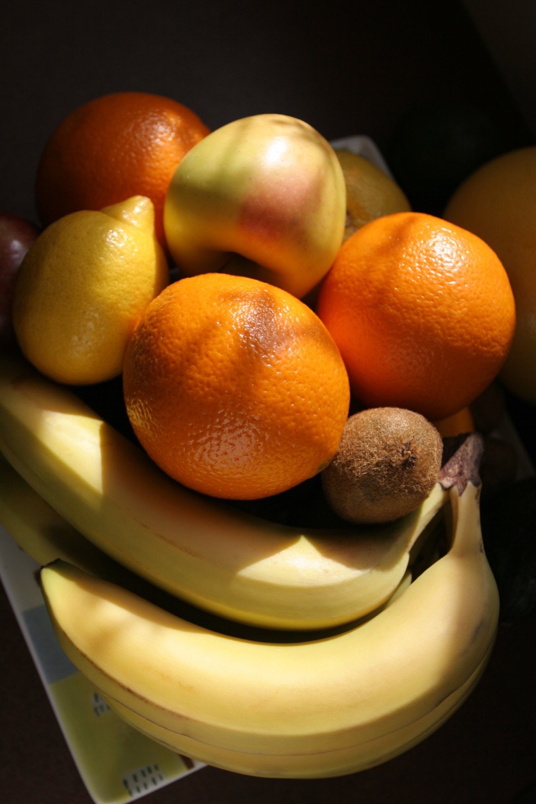Foods That Support Your Immune System All Year Round