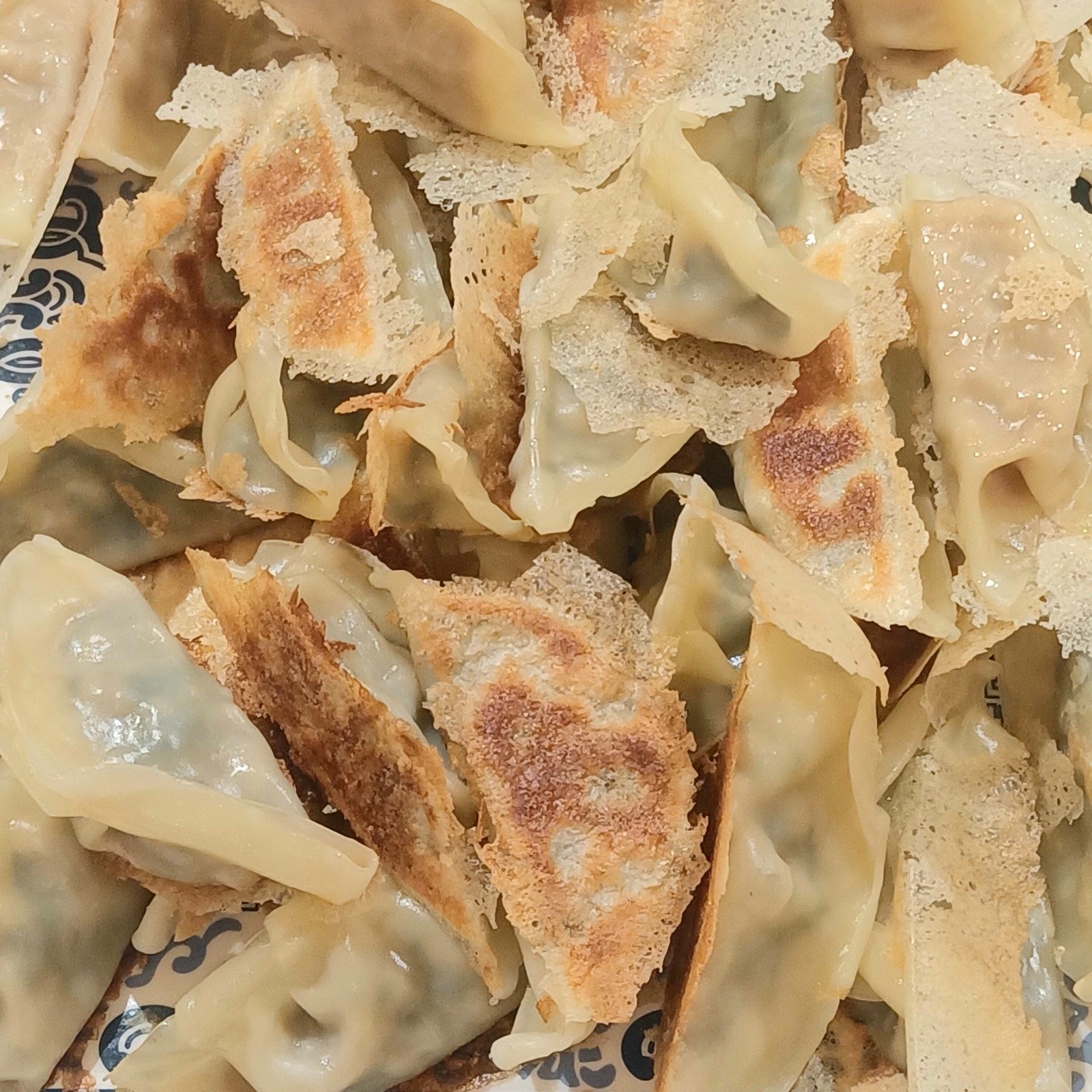 Chinese Jiaozi Pot Stickers