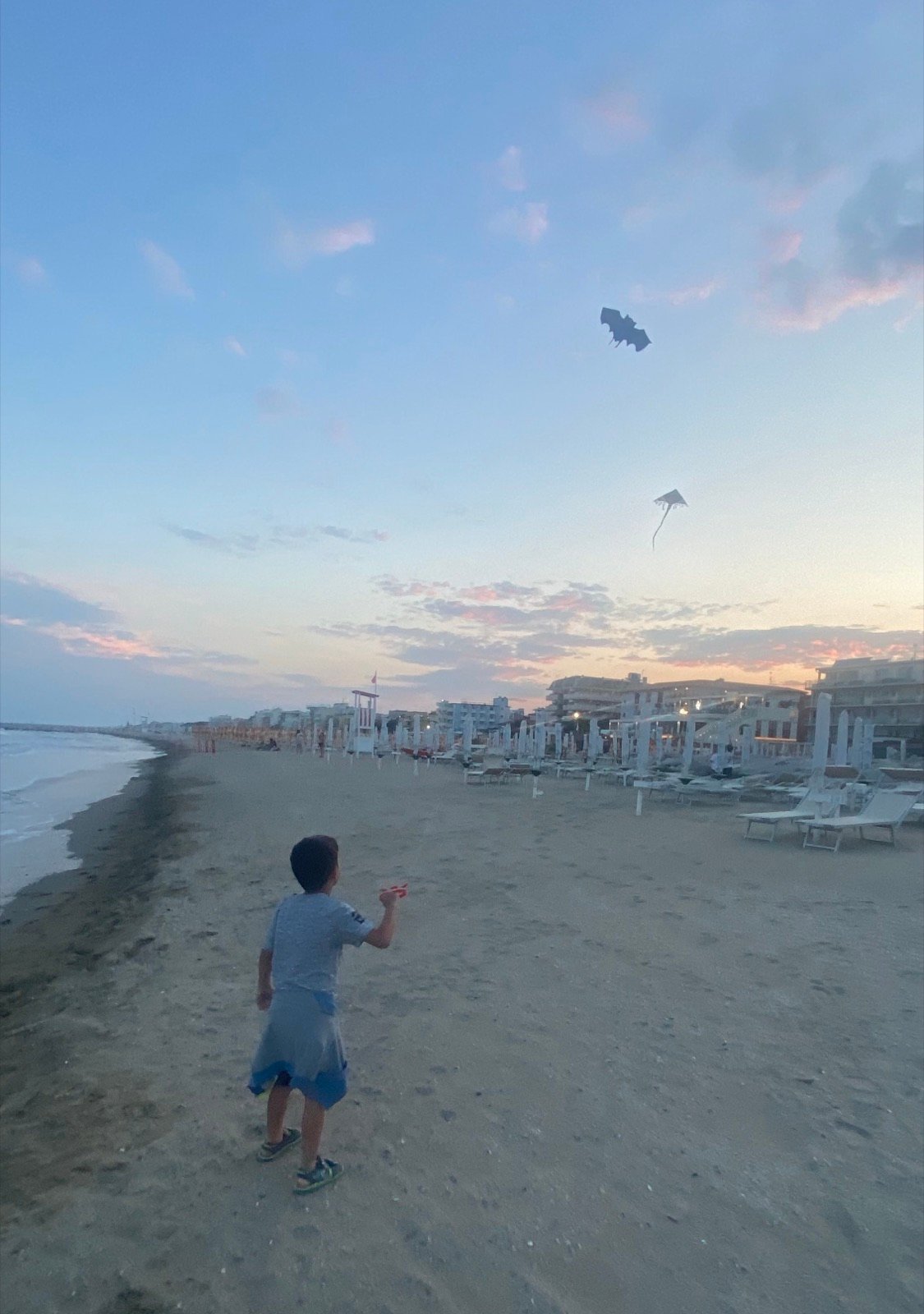 The Kite Festival Race