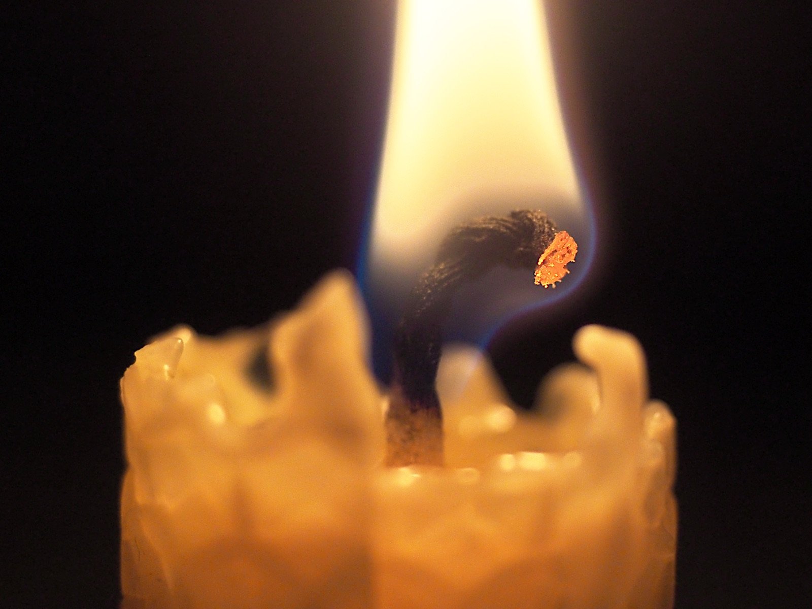 The Little Candle's Glow