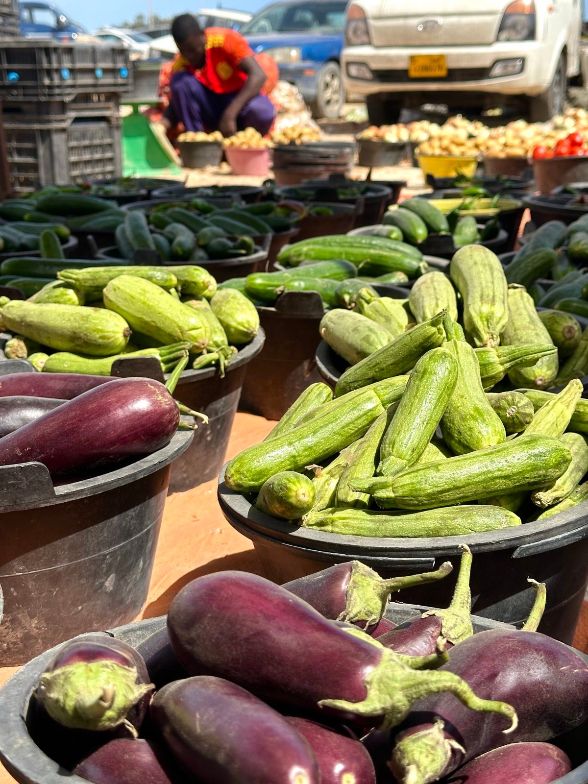 Adventure in the Old Market