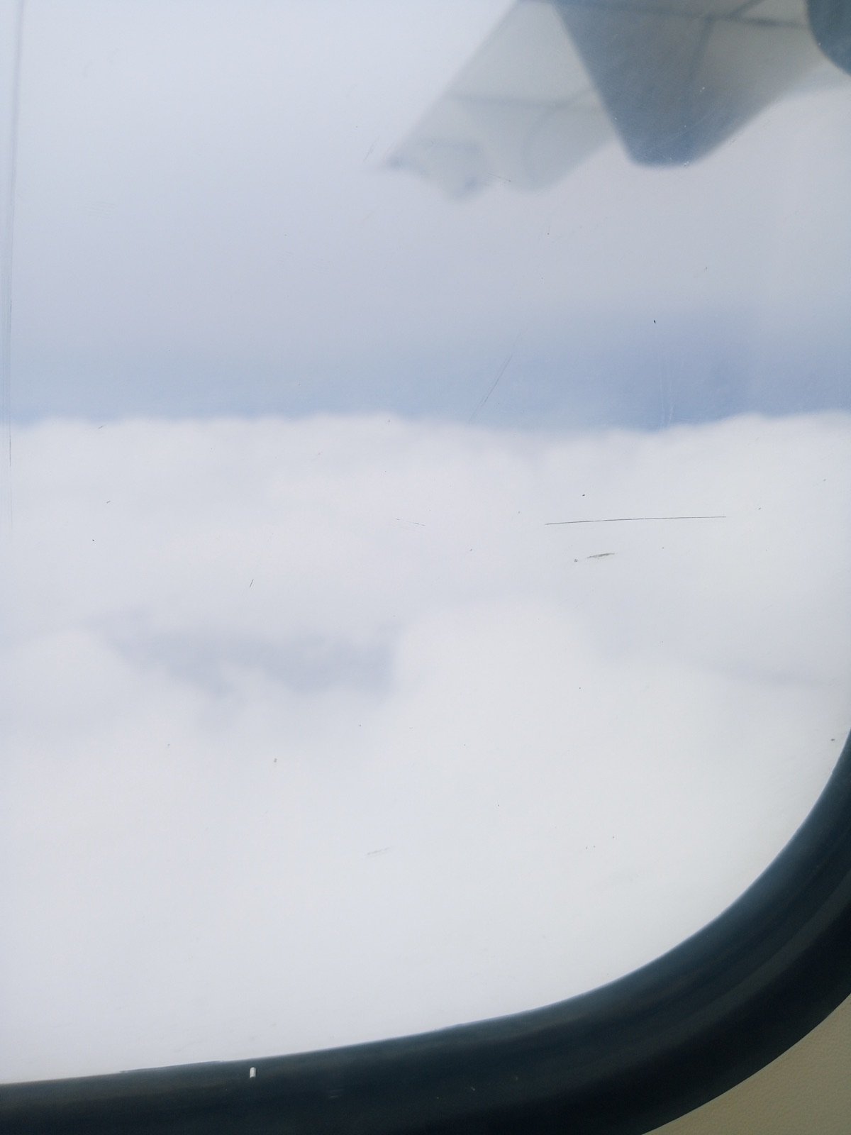 The Soft Cotton Cloud